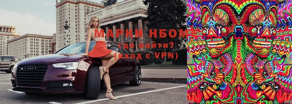 крисы Надым