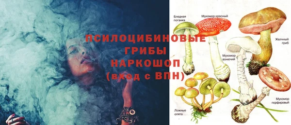 МДПВ Армянск